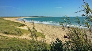 Hameaux des Marines - Saint Denis d'Oléron (17)